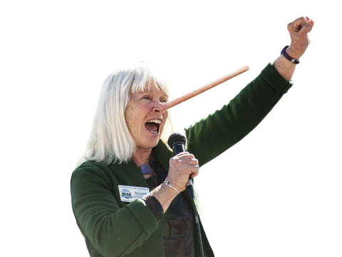 Lauren Boebert Issues Statement on Mitsch Bush’s Healthcare Lies, Outlines Healthcare Principles
